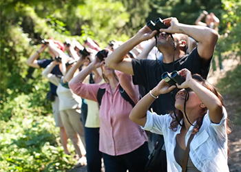 group of people looking up through binoculars