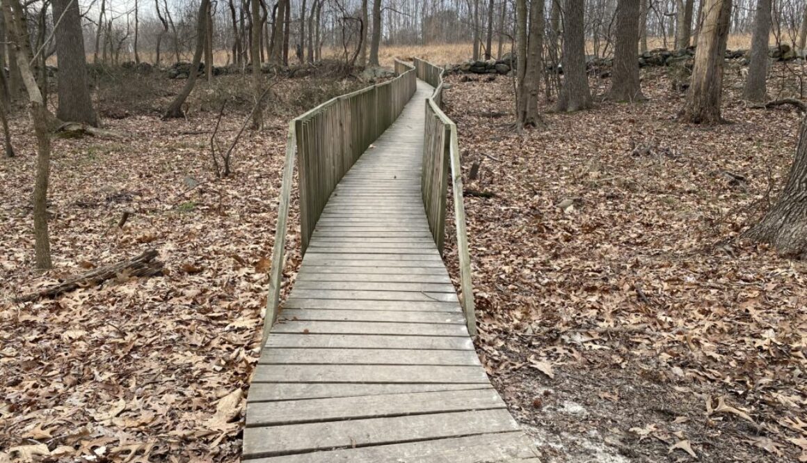 wooden pathway over marsh