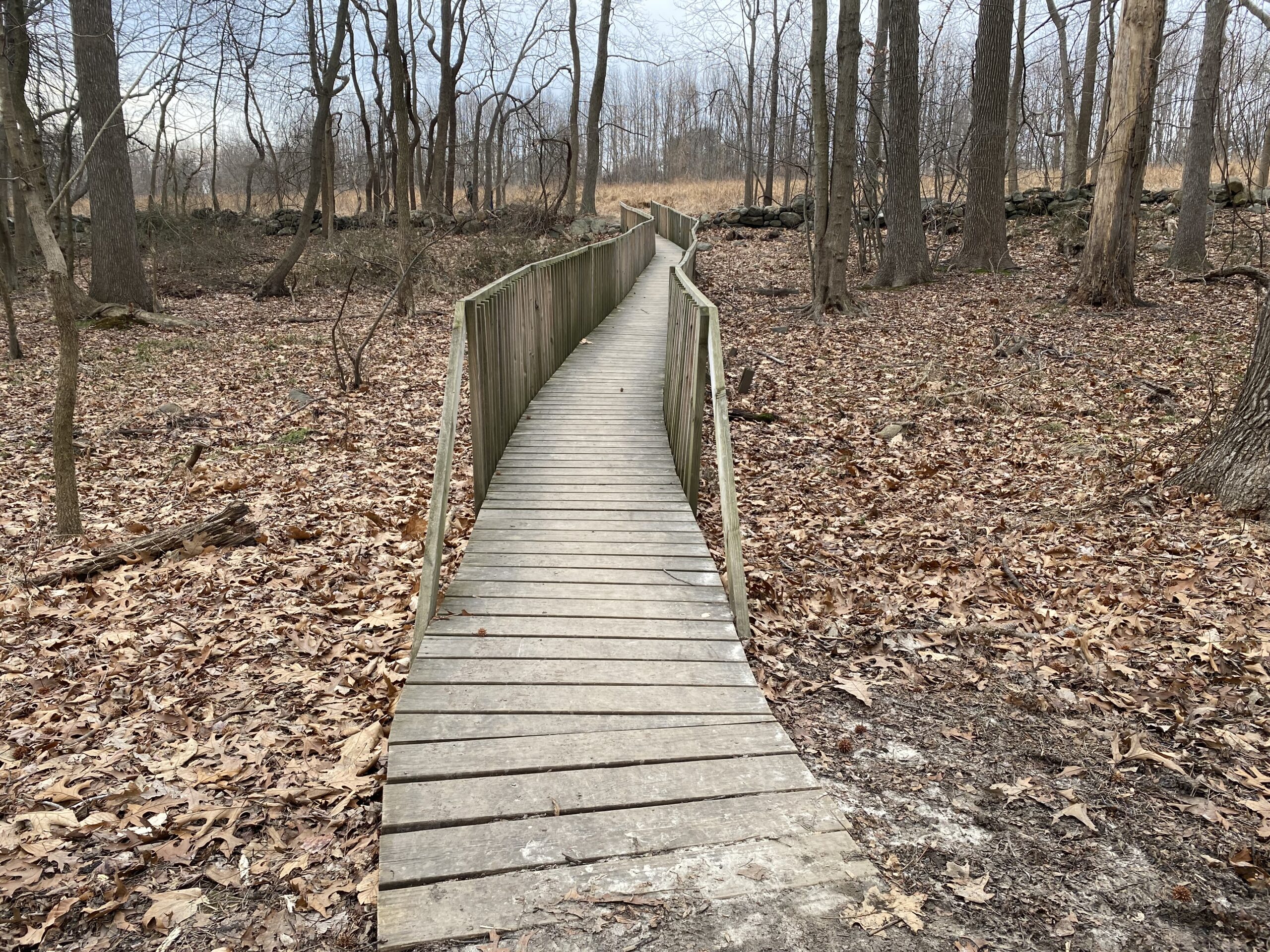 wooden pathway over marsh