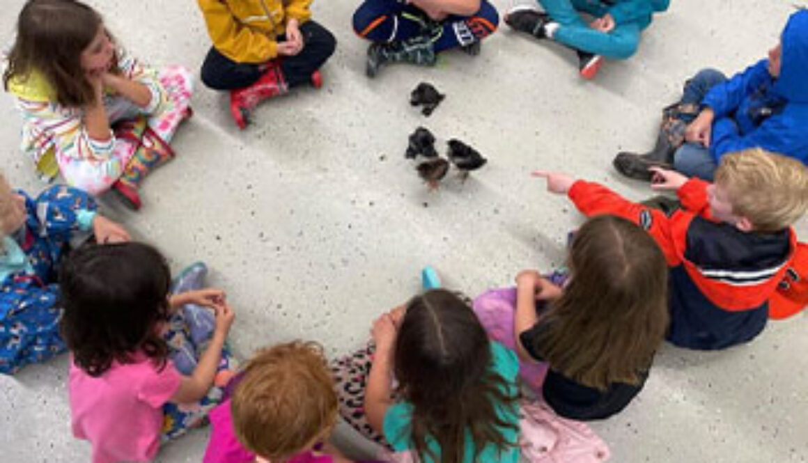 SE_Muscootlttlexplors