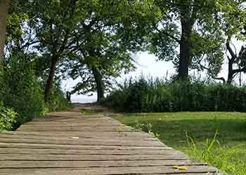 wooden pathway in park