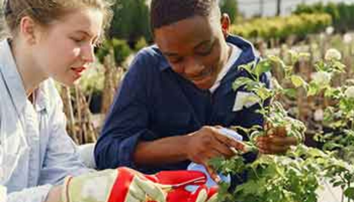 two gardeners working with plants
