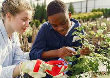 SE_gardeners two gardeners working with plants