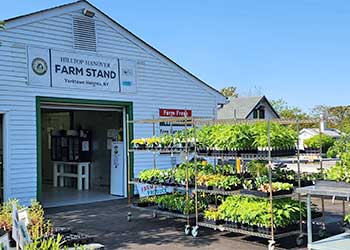 Farm stand with vegetables on shelves