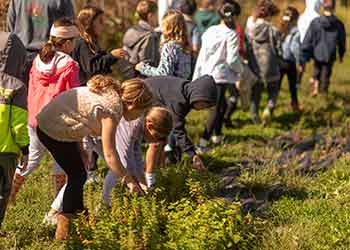 adults and children out in field