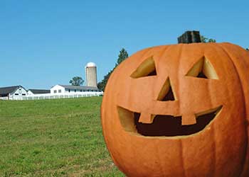 SE_hilltoppumpkin