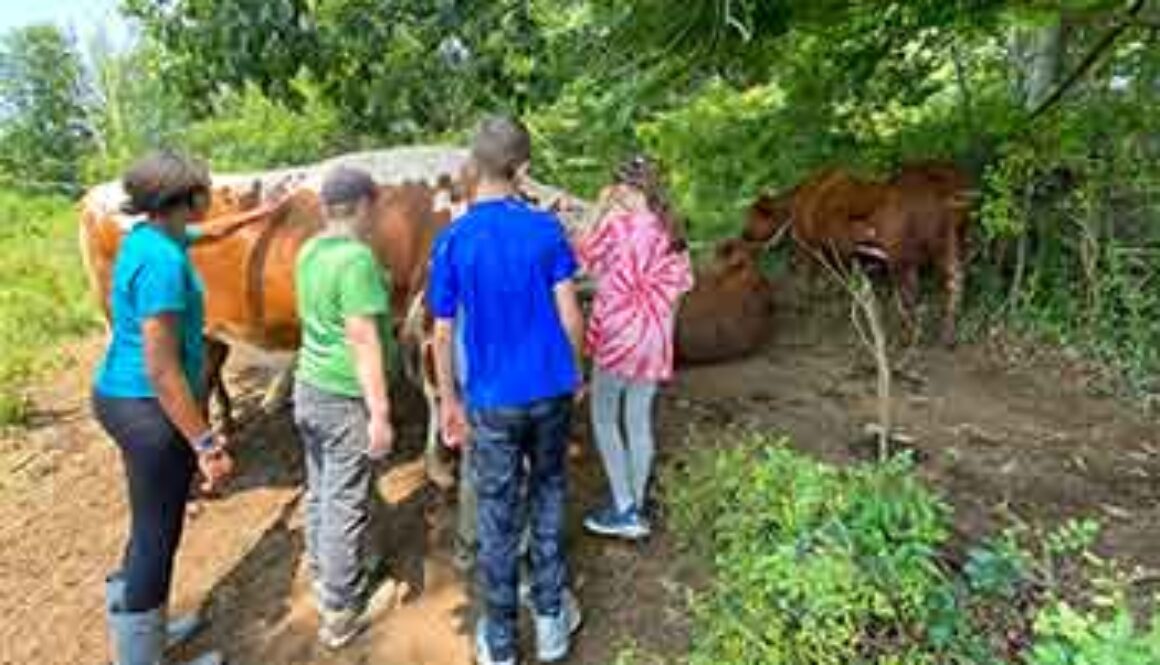 SE_muscoot_animalinteractn