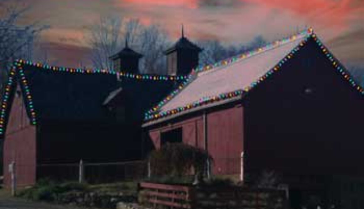 SE_muscootholidayLightsonFarm