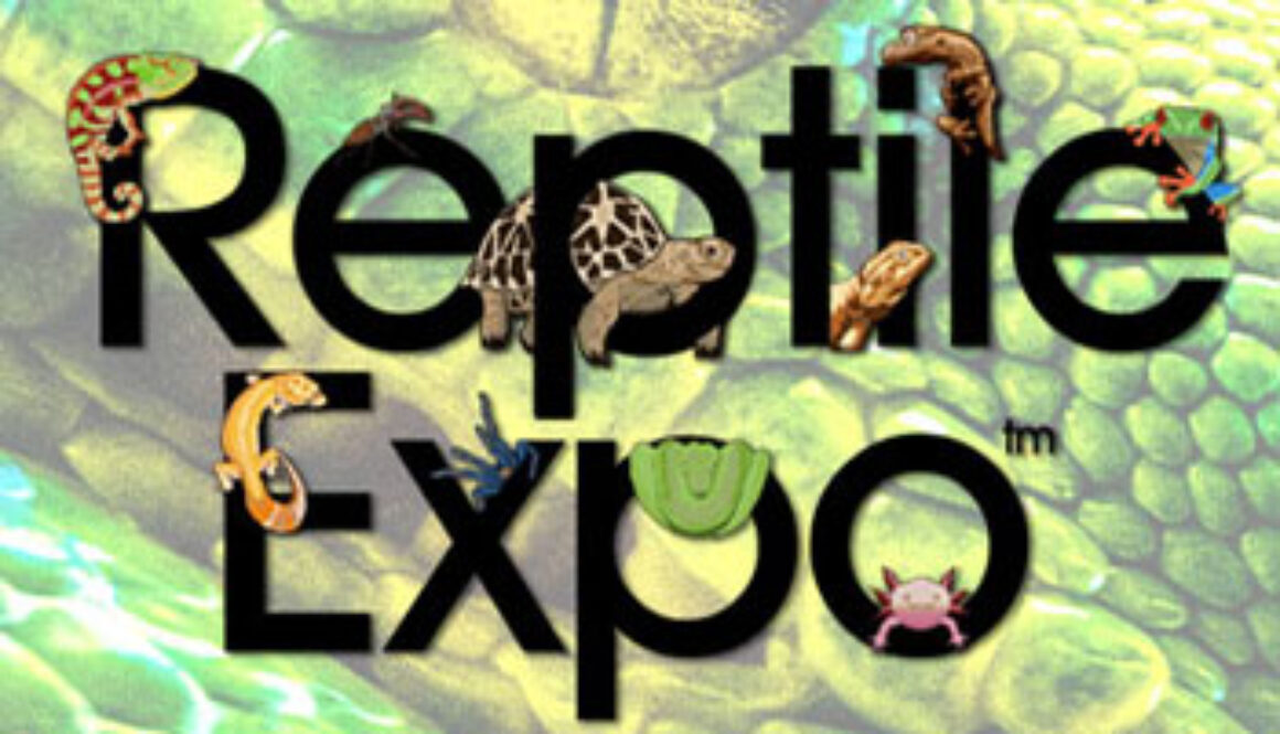 SE_reptileexpo