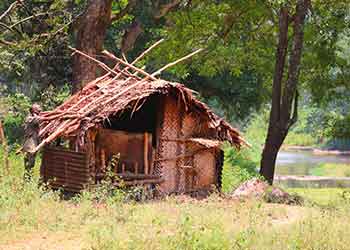 handmade shack in the woods