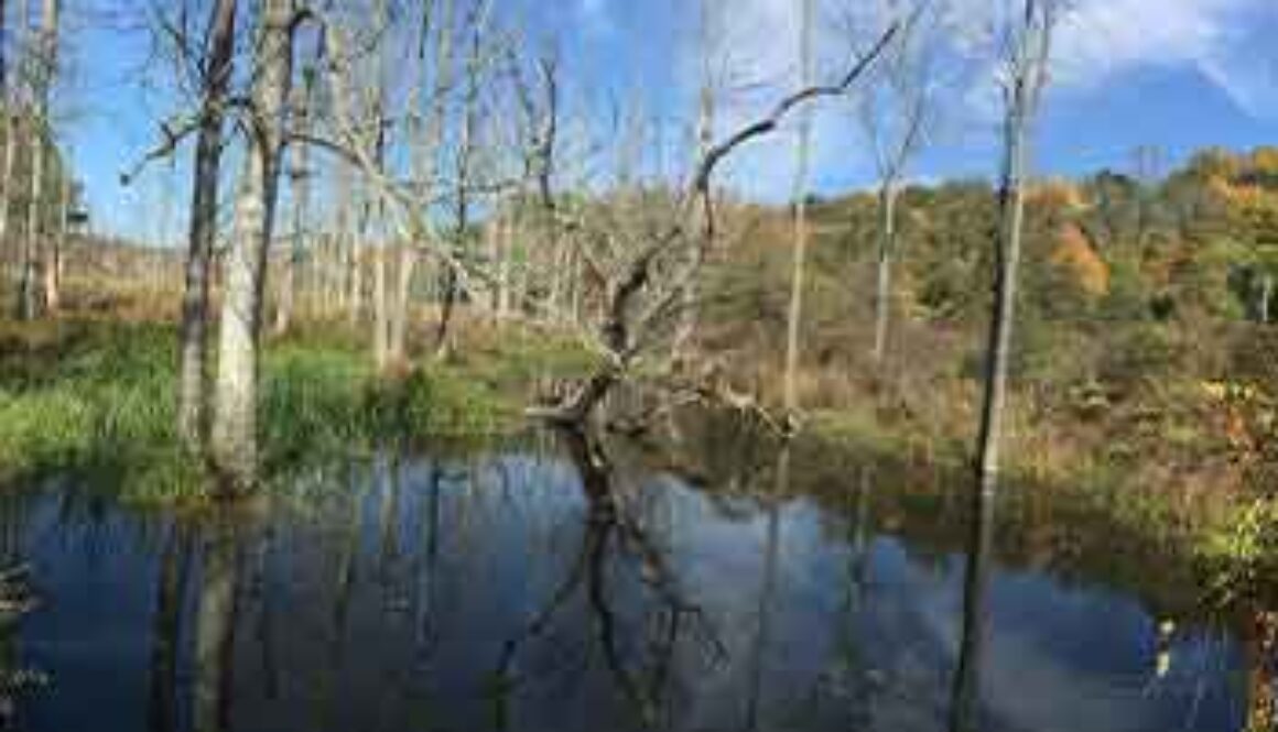 image of standing water