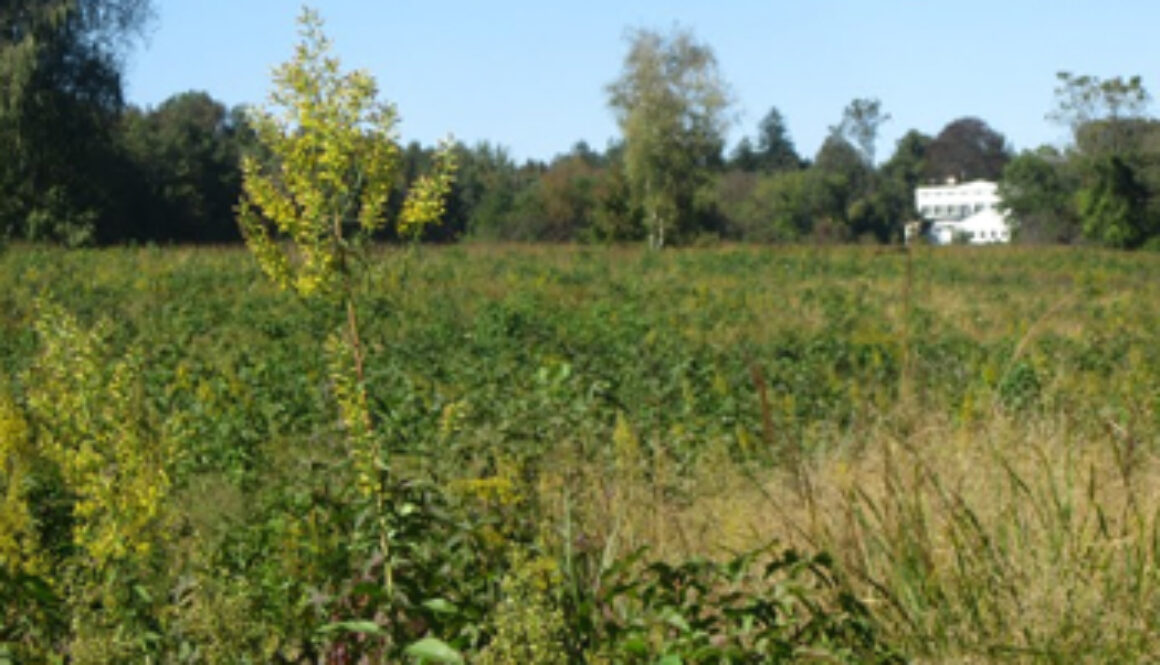 Marshlands at Edith Read Sanctuary