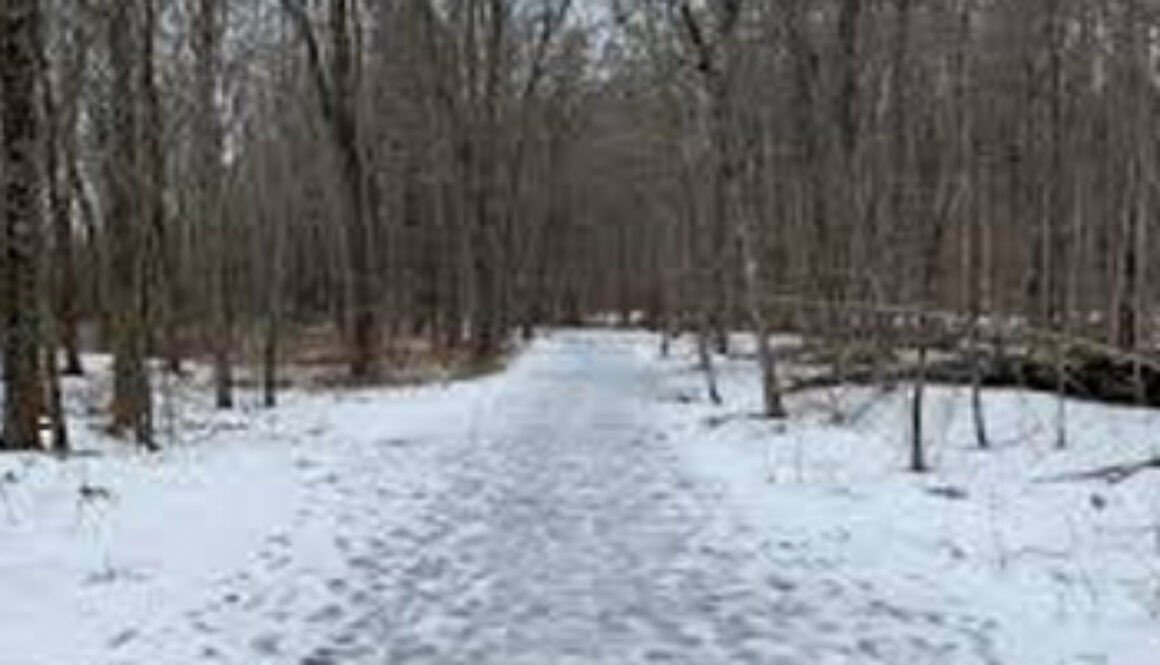 hiking trail covered in snow