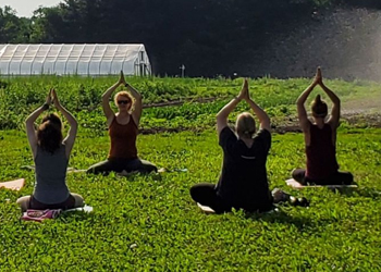 group of women in yoga position on grass