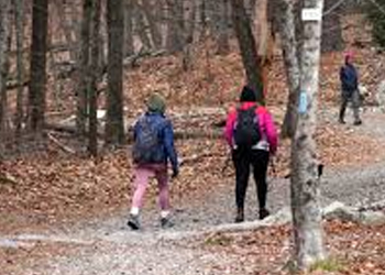 hikers walking on path in winter