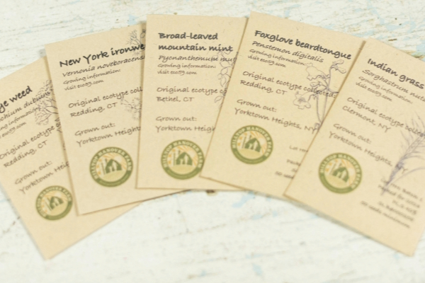 Hilltop Native Seeds