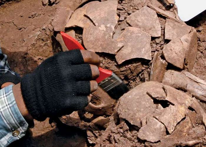 hand holding brush excavating old pottery