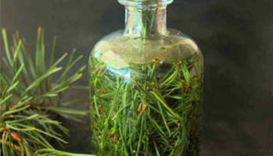 pine needles in jar surrounded by pine branch