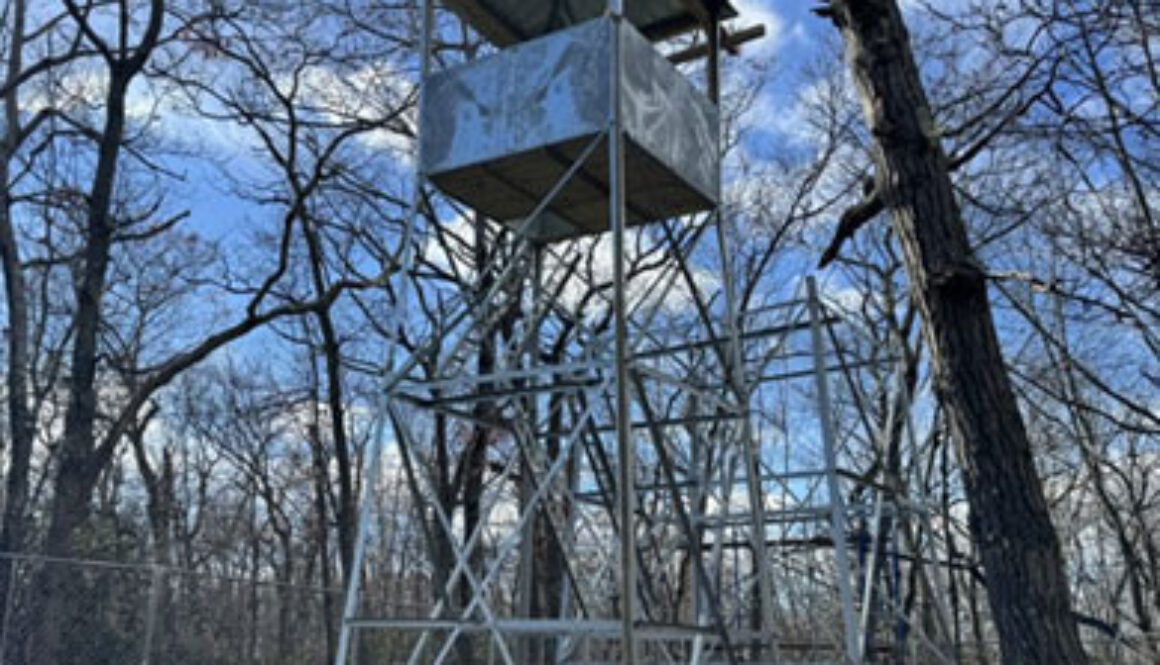 fire-tower