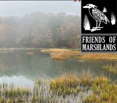 marsh in foggy weather with logo in upper left corner
