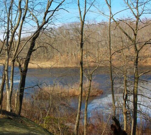 scenic view of lake from shore early winter