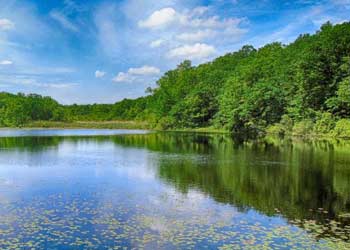 scenic image of lake under blue sky