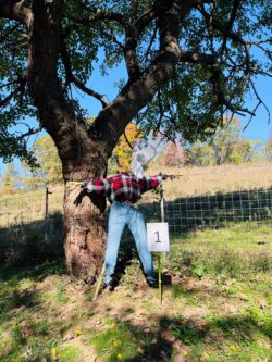 Scarecrow Making Contest